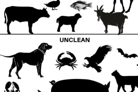 list of the clean and unclean animals Leviticus 11